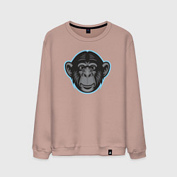 Свитшот хлопковый мужской Funny monkey, цвет: пыльно-розовый