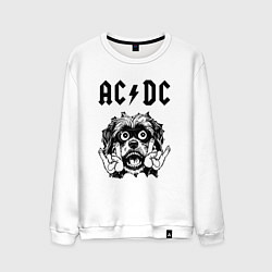 Свитшот хлопковый мужской AC DC - rock dog, цвет: белый