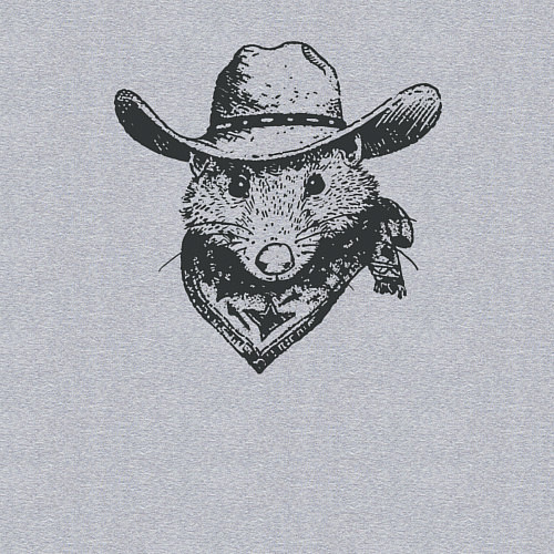 Мужской свитшот Опоссум ковбой / Меланж – фото 3
