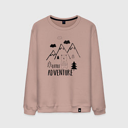 Свитшот хлопковый мужской Маленькое приключение, цвет: пыльно-розовый