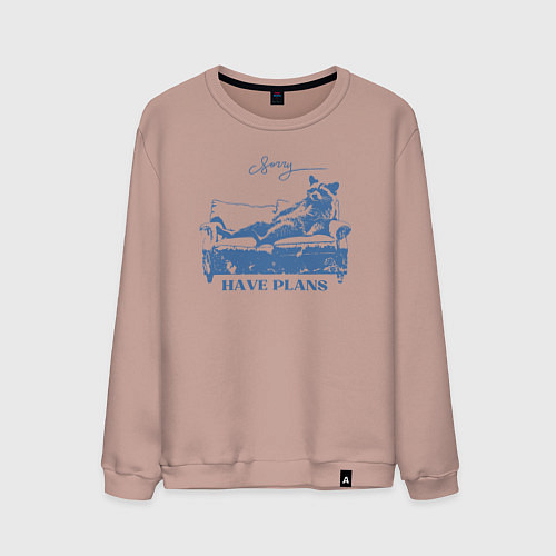 Мужской свитшот Енот лежит на диване и чилит / Пыльно-розовый – фото 1