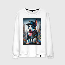 Мужской свитшот Funny bull terrier in New York - ai art