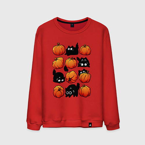 Мужской свитшот Котики и тыквы / Красный – фото 1