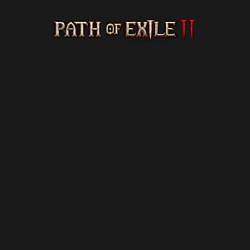 Свитшот хлопковый мужской Path of exile 2 logotype, цвет: черный — фото 2