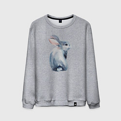 Свитшот хлопковый мужской Кролик арт, цвет: меланж