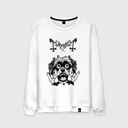 Мужской свитшот Mayhem - rock dog
