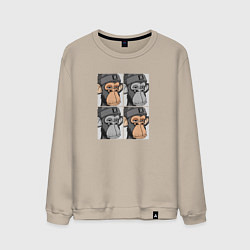 Мужской свитшот Four monkeys