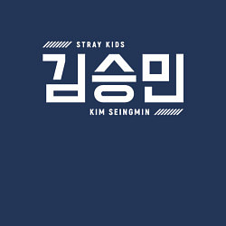 Свитшот хлопковый мужской Ким Сынмин stray kids, цвет: тёмно-синий — фото 2