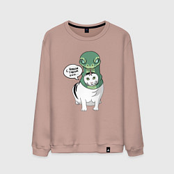 Мужской свитшот С Новым годом - кот змея