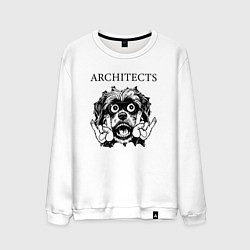 Свитшот хлопковый мужской Architects - rock dog, цвет: белый