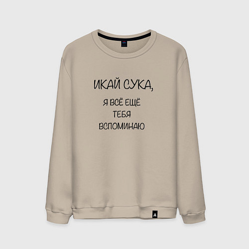 Мужской свитшот Икай сука / Миндальный – фото 1