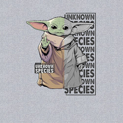 Свитшот хлопковый мужской Unknown specis - Baby Yoda, цвет: меланж — фото 2