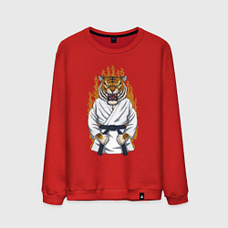 Свитшот хлопковый мужской Карате тигр, цвет: красный