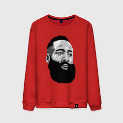 Мужской свитшот James Harden