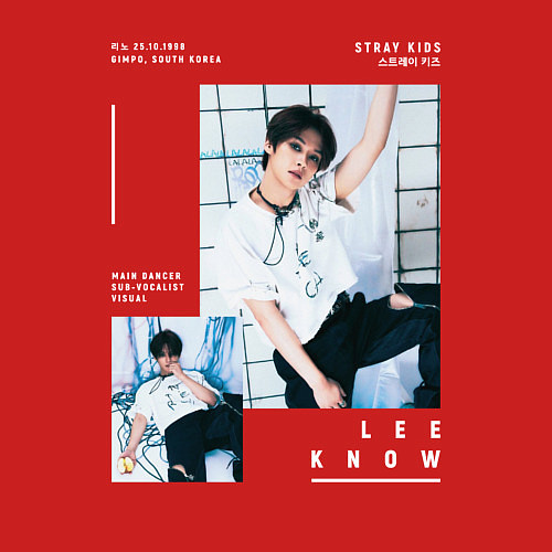 Мужской свитшот Lee know stray kids rockstar / Красный – фото 3