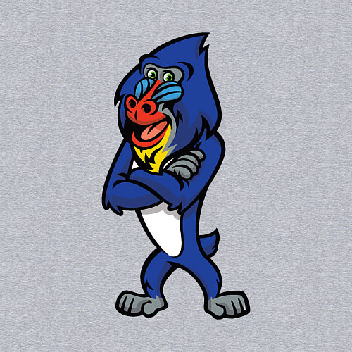 Мужской свитшот Мандрил / Меланж – фото 3