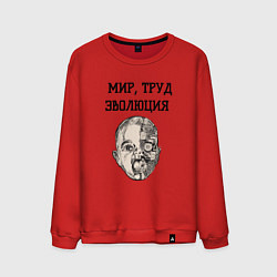 Свитшот хлопковый мужской Мир труд эволюция, цвет: красный