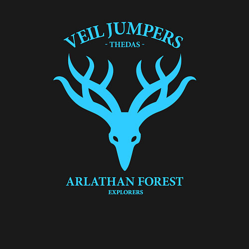 Мужской свитшот Veil Jumpers - Dragon Age / Черный – фото 3