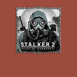 Свитшот хлопковый мужской Stalker 2 heart of Chornobyl radiation 2, цвет: кирпичный — фото 2