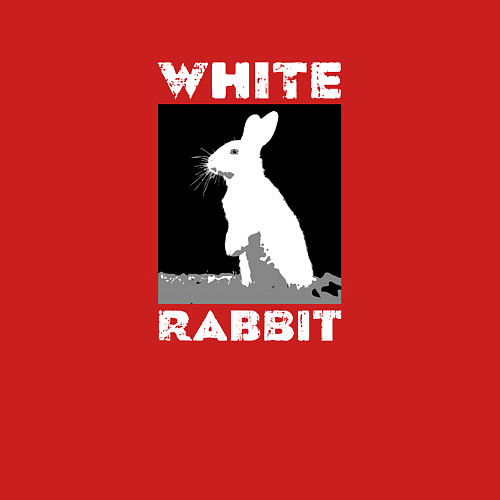 Мужской свитшот White rabbit / Красный – фото 3