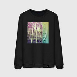 Свитшот хлопковый мужской Крымский лес японскими иероглифами, цвет: черный