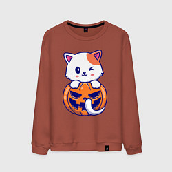 Мужской свитшот Halloween meow
