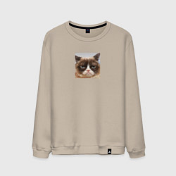 Свитшот хлопковый мужской Сердитая Кошка для пары, цвет: миндальный