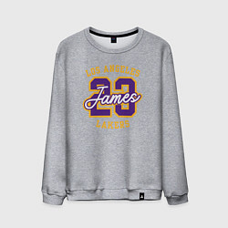 Мужской свитшот Lebron James Lakers
