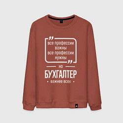Мужской свитшот Бухгалтер нужнее всех