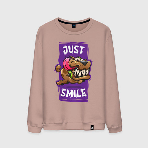 Мужской свитшот Просто улыбнись / Пыльно-розовый – фото 1
