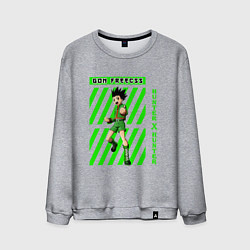 Свитшот хлопковый мужской Хантер Гон полоска, цвет: меланж