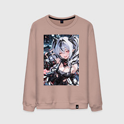 Мужской свитшот Jetavie Punishing Gray Raven