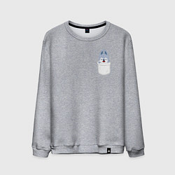 Свитшот хлопковый мужской Wolf Chan in pocket, цвет: меланж