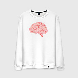 Мужской свитшот Мозг иллюстрация