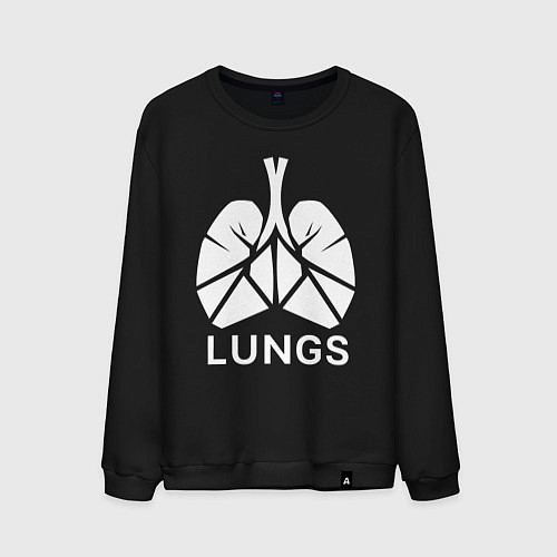 Мужской свитшот Легкие сигментарно / Черный – фото 1