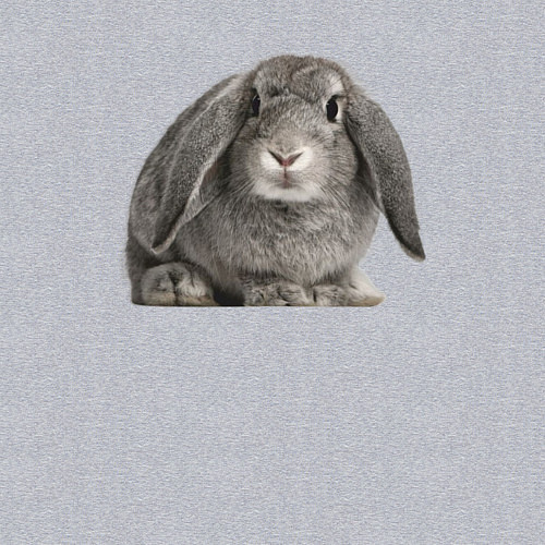 Мужской свитшот Серый пушистый кролик / Меланж – фото 3