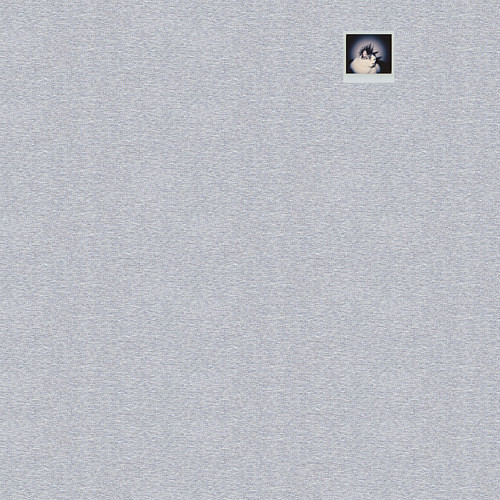 Мужской свитшот Панк кот / Меланж – фото 3