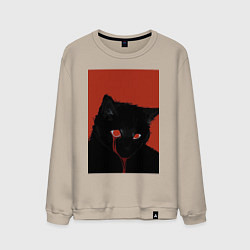 Свитшот хлопковый мужской Blood eyes cat, цвет: миндальный