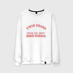 Мужской свитшот Twin Peaks High School