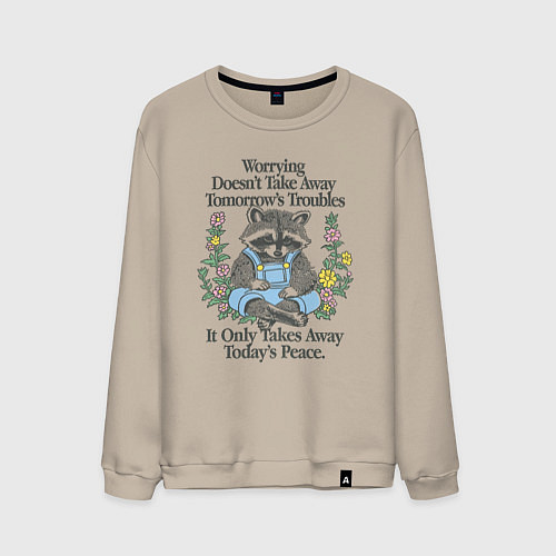 Мужской свитшот Спокойный Енот / Миндальный – фото 1