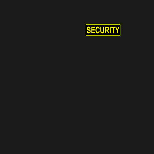 Мужской свитшот Security охрана / Черный – фото 3