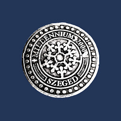 Свитшот хлопковый мужской Путешествие в Венгрию, цвет: тёмно-синий — фото 2