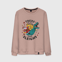 Свитшот хлопковый мужской Санта на динозавре, цвет: пыльно-розовый