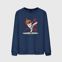 Мужской свитшот Иго-го каратист