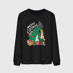 Мужской свитшот Merry catmas