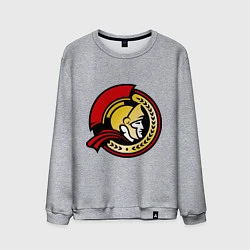 Свитшот хлопковый мужской HC Ottawa Senators Alternative, цвет: меланж