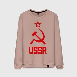 Свитшот хлопковый мужской СССР - великая держава, цвет: пыльно-розовый