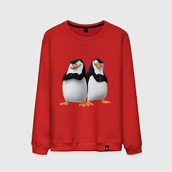 Свитшот хлопковый мужской Пингвины Мадагаскара, цвет: красный