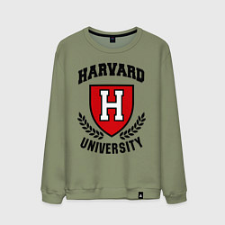 Свитшот хлопковый мужской Harvard University, цвет: авокадо