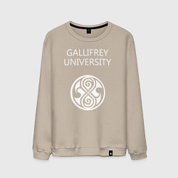 Мужской свитшот Galligrey University